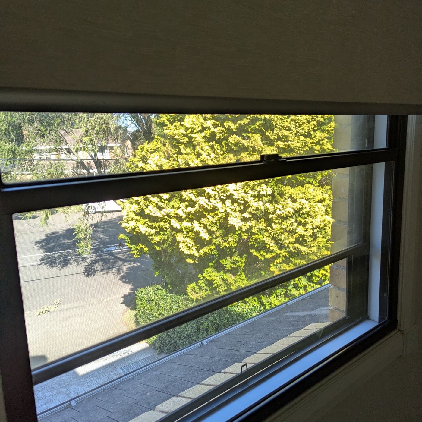 Finished bond clean in Sydney, photo 26